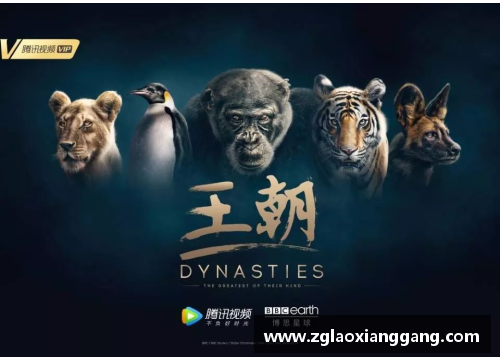震撼！皇家马德里全纪录片，揭秘白衣王朝传奇往事