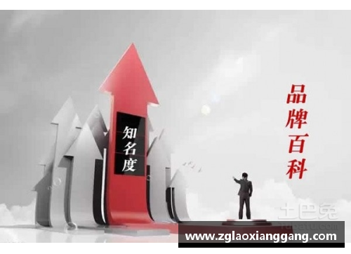 体育明星代言品牌产品的市场影响力及其推广效果分析
